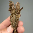 Copper - image 2