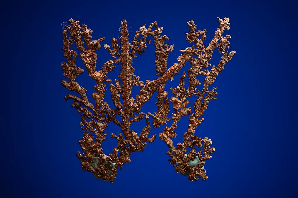 Copper - image 2
