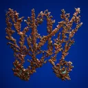 Copper - image 2