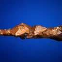 Copper - image 4