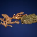 Copper - image 3