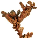 Copper - image 2