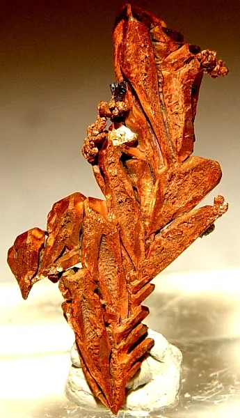 Copper image
