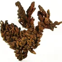 Copper - image 4