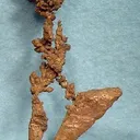 Copper - image 1