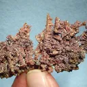 Copper - image 1