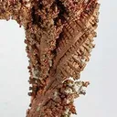 Copper - image 2