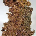 Copper - image 1
