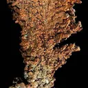 Copper - image 2