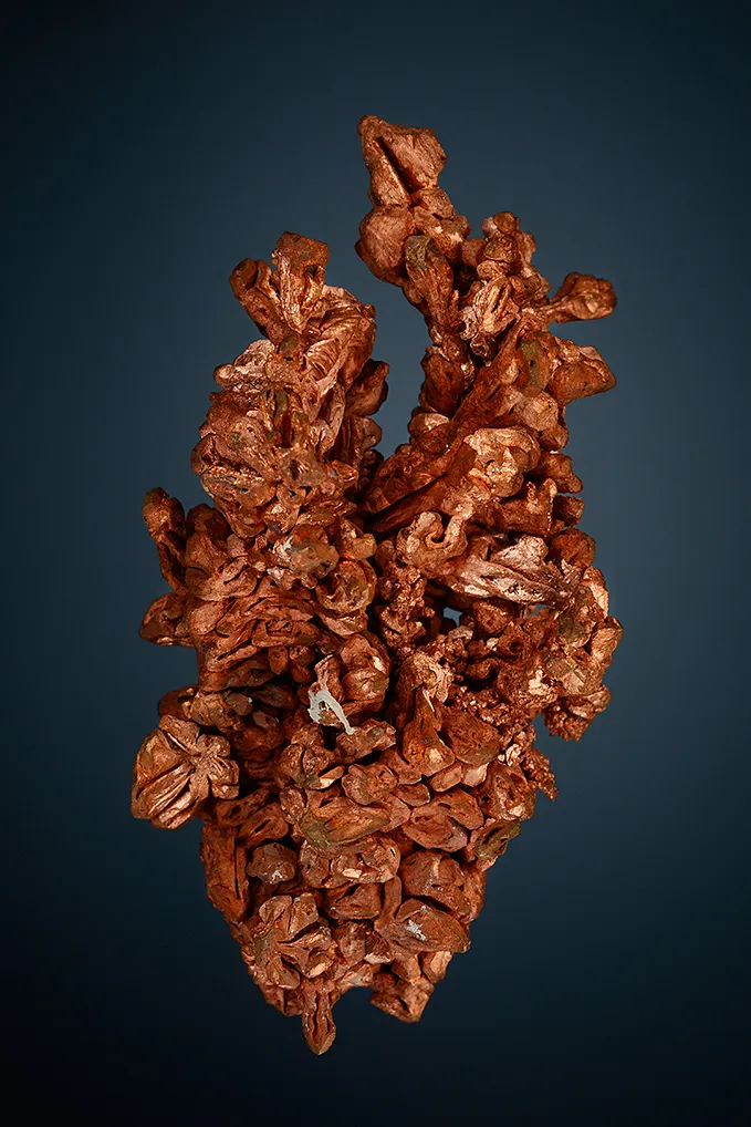 Copper - image 3