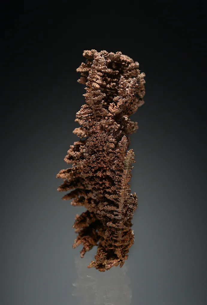 Copper - image 3