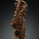 Copper - image 3
