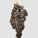 Copper - image 5