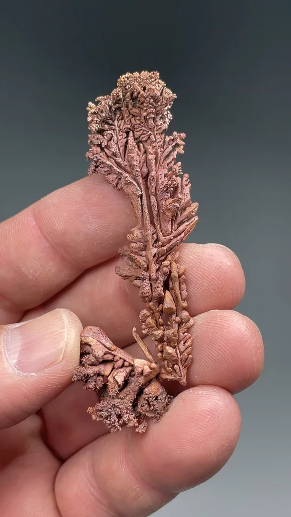 Copper - image 2