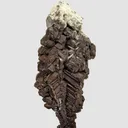 Copper - image 1