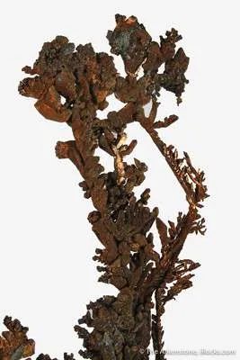 Copper - image 2
