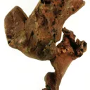Copper - image 4