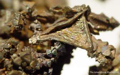 Copper - image 3