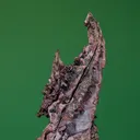 Copper - image 2
