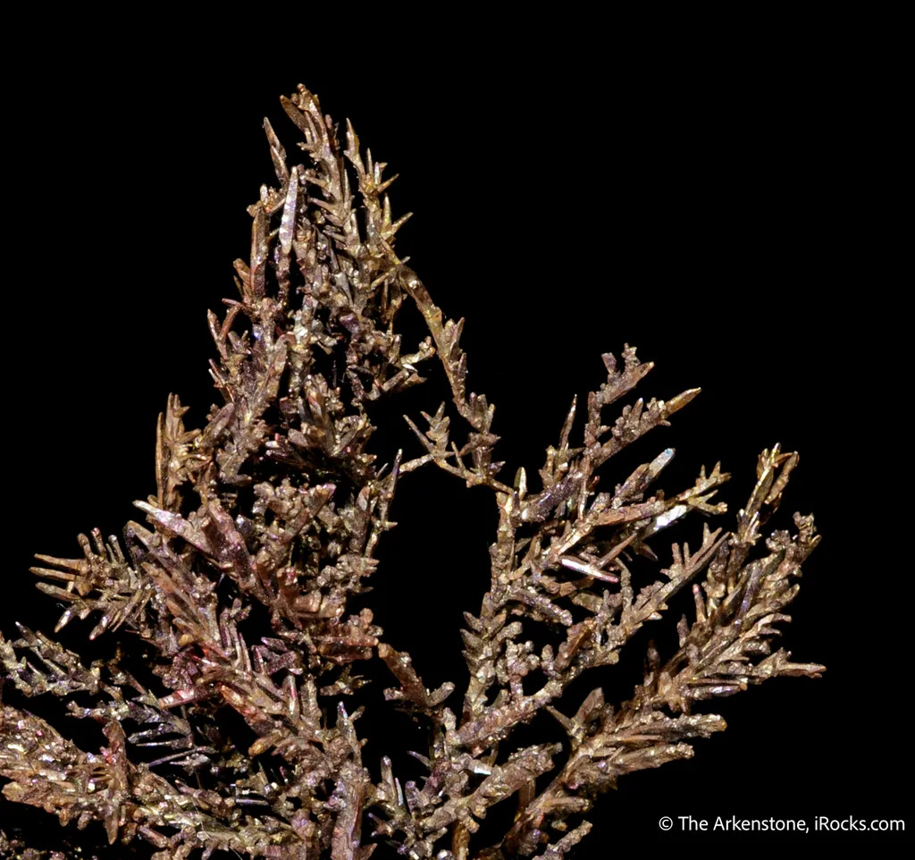 Copper - image 4