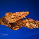 Copper - image 1