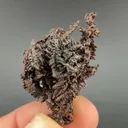Copper - image 1