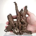 Copper - image 5