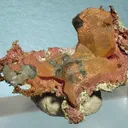 Copper - image 1
