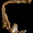 Copper - image 1