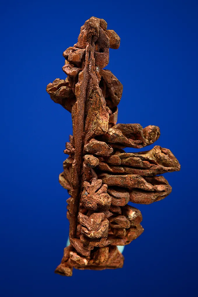 Copper - image 4