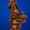 Copper - image 4