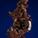 Copper - image 4