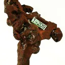 Copper - image 4
