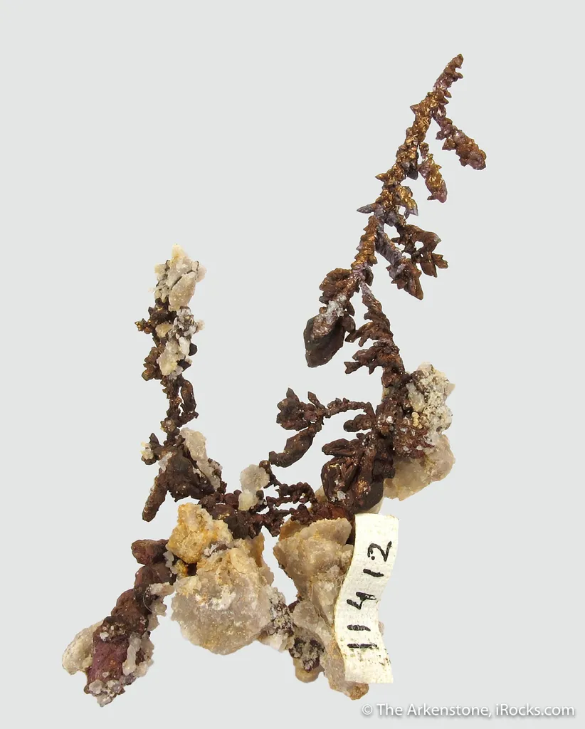 Copper - image 4