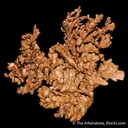 Copper - image 3