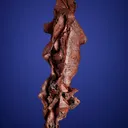 Copper - image 2