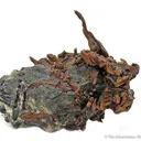 Copper - image 1