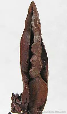 Copper - image 3