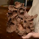 Copper - image 4