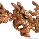 Copper - image 4
