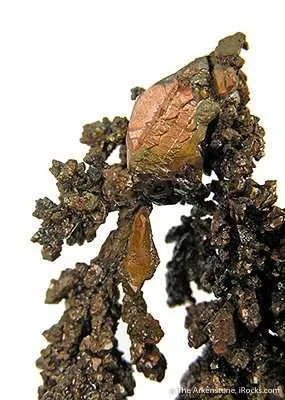 Copper - image 2