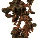 Copper - image 4