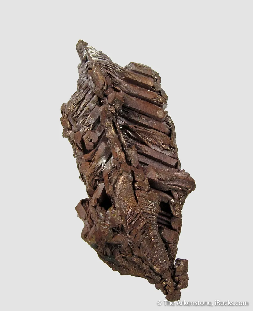 Copper - image 3