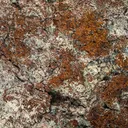 Copper - image 2