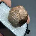 Copper - image 2