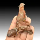 Copper - image 1