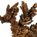 Copper - image 2