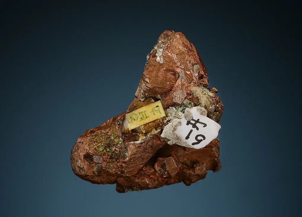 Copper - image 6