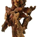 Copper - image 3