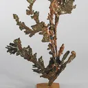 Copper - image 1